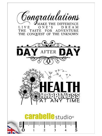Carabelle Studio - Congratulations